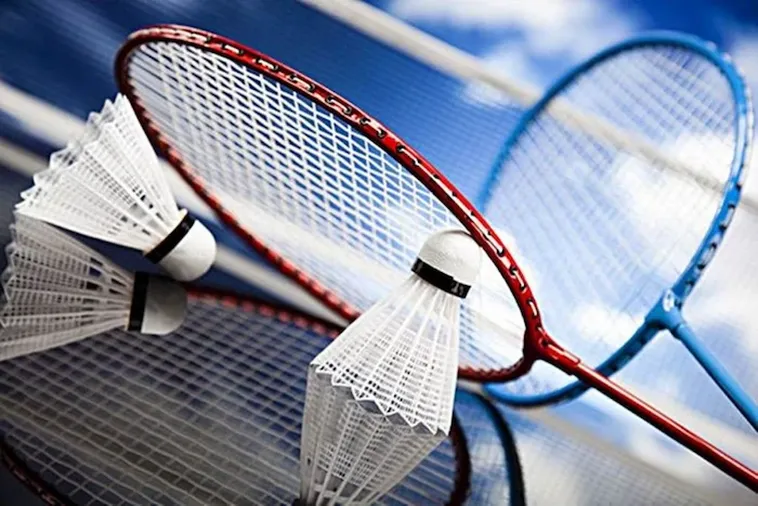 Bí Quyết Cá Cược Cầu Lông SaoWin Giúp Bạn Thắng Lớn Mỗi Ngày