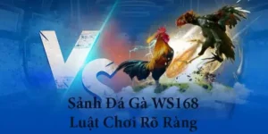 Khám Phá Cách Chơi Đá Gà WS168 Tại SaoWin Và Rinh Thưởng Lớn