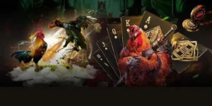 Chinh Phục Sàn Đấu Đá Gà GA28 SaoWin Và Rinh Thưởng Cực Lớn