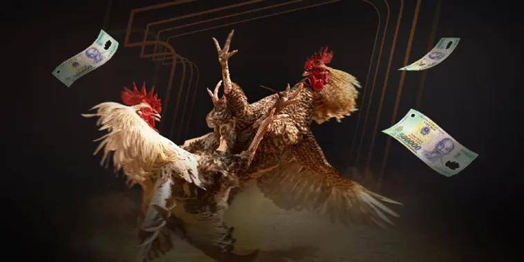 Đá Gà SaoWin Đấu Trường Đỉnh Cao Chinh Phục Kê Thần Ngay Hôm Nay